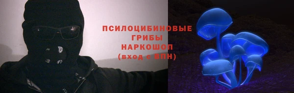 а пвп мука Аркадак