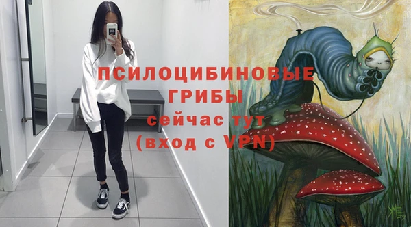 шишки Армянск