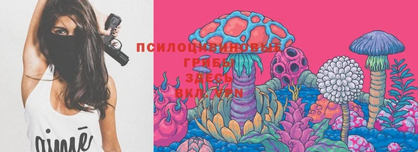 шишки Армянск