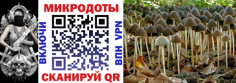 даркнет сайт  Голицыно  Галлюциногенные грибы Psilocybe 
